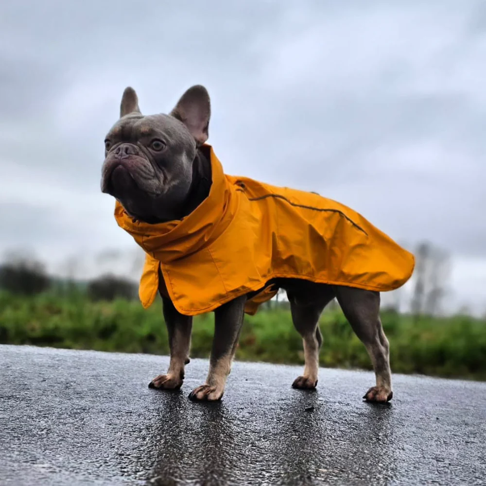 Breatheshield™ Dog Raincoats - Image 21