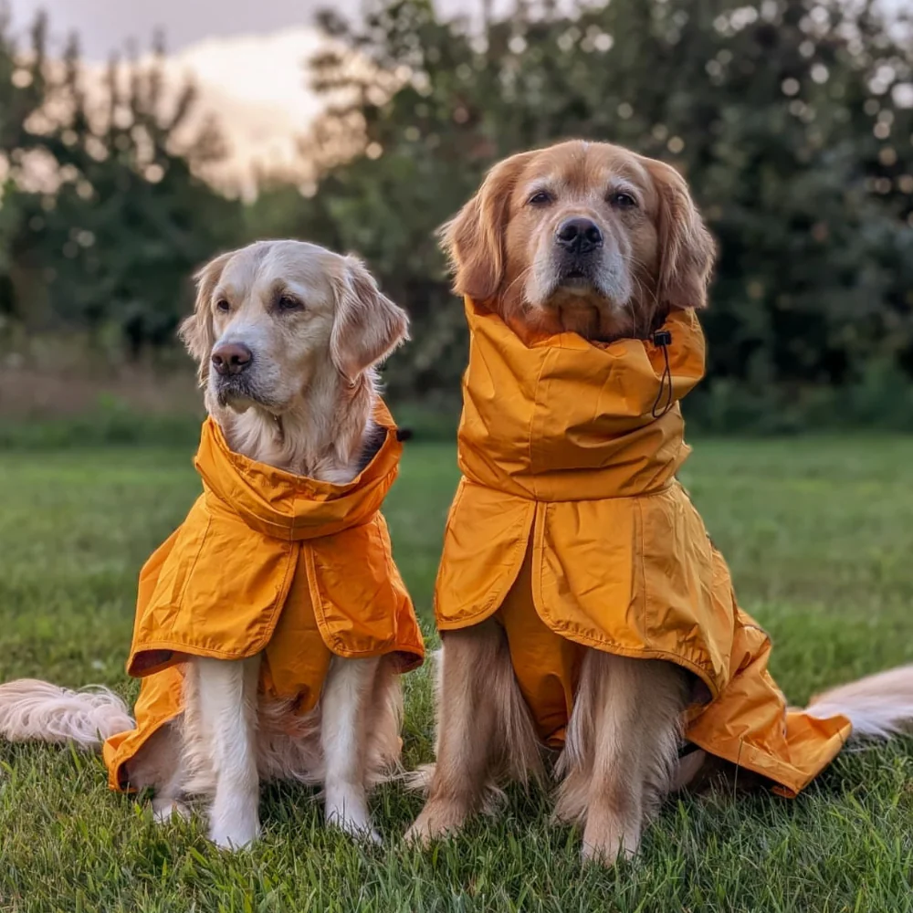 Breatheshield™ Dog Raincoats - Image 22