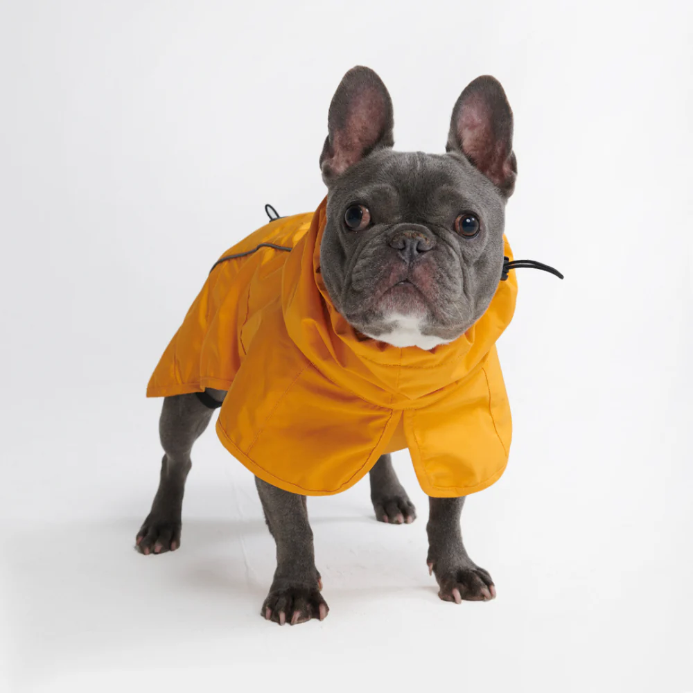 Breatheshield™ Dog Raincoats - Image 18