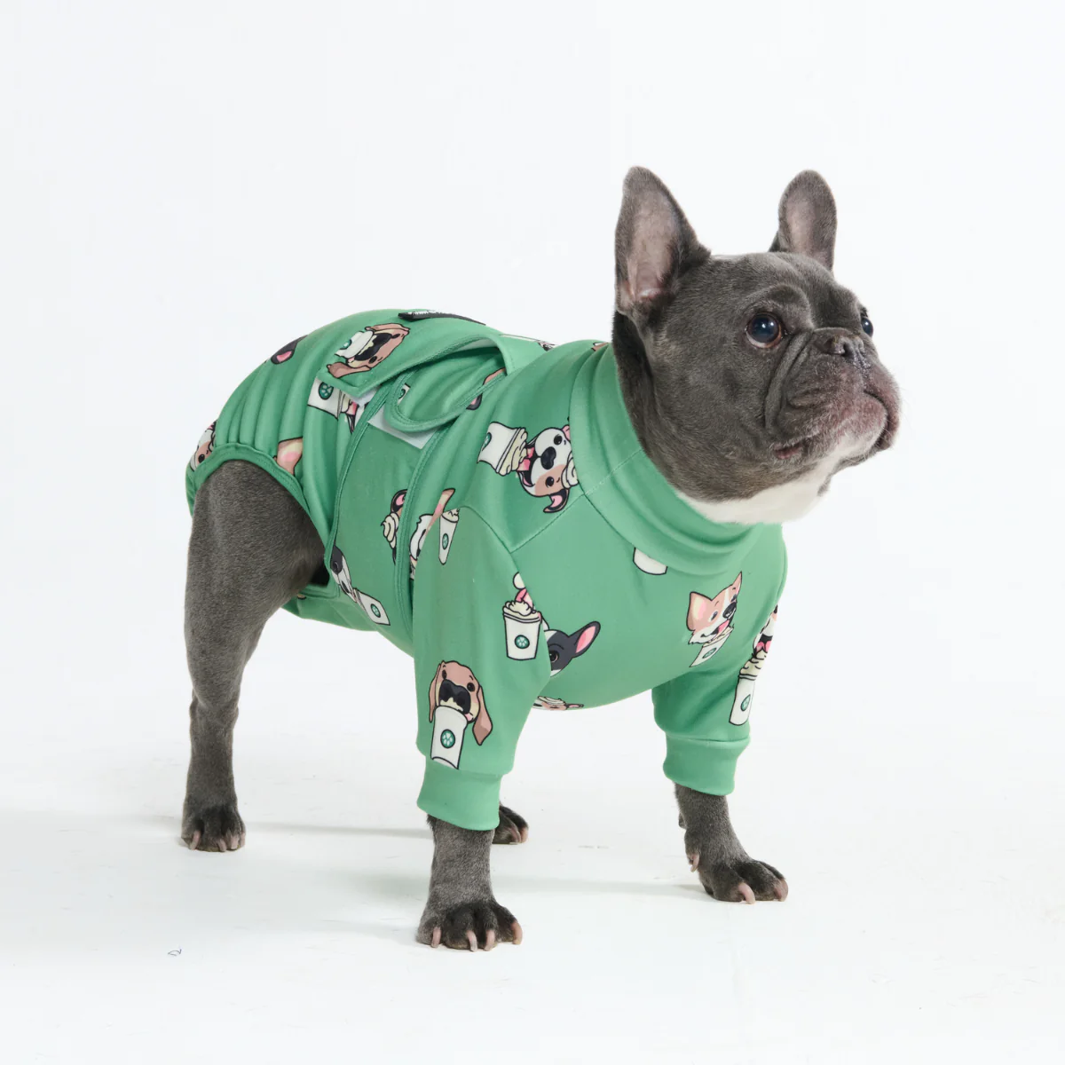 Dog Surgical Suit - Pup Cup - Image 11