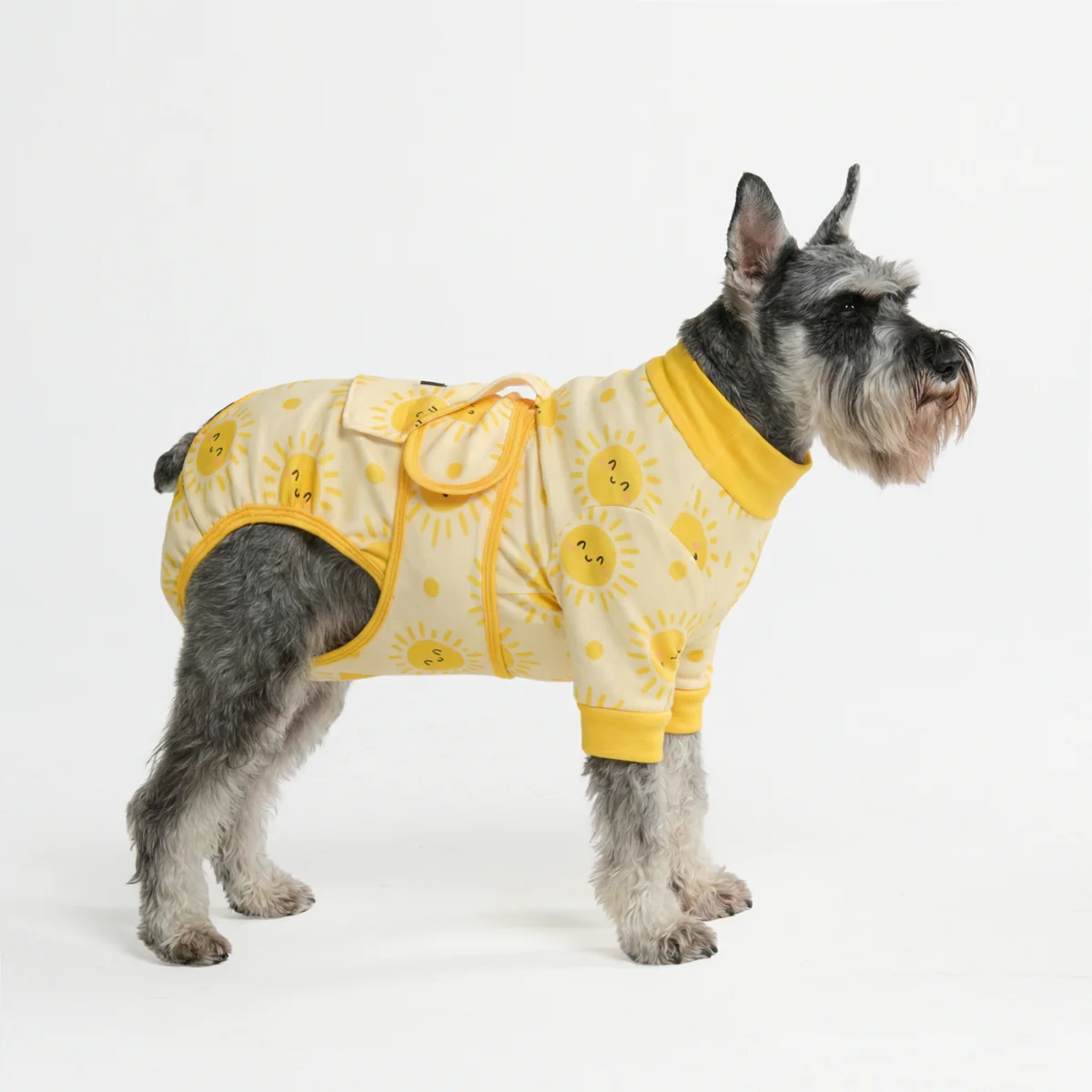 Dog Surgical Suit - Sunshine - Image 3