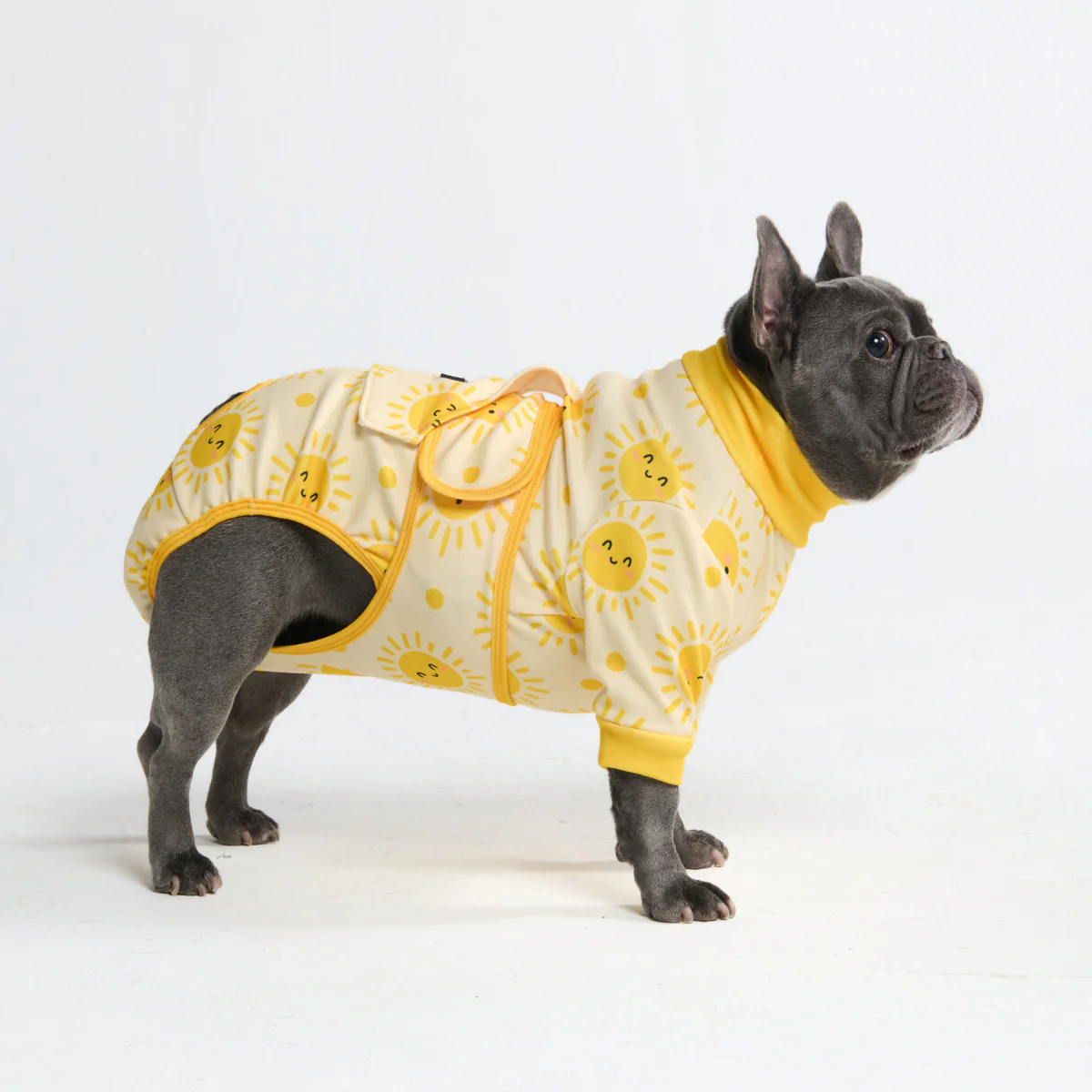 Dog Surgical Suit - Sunshine - Image 4
