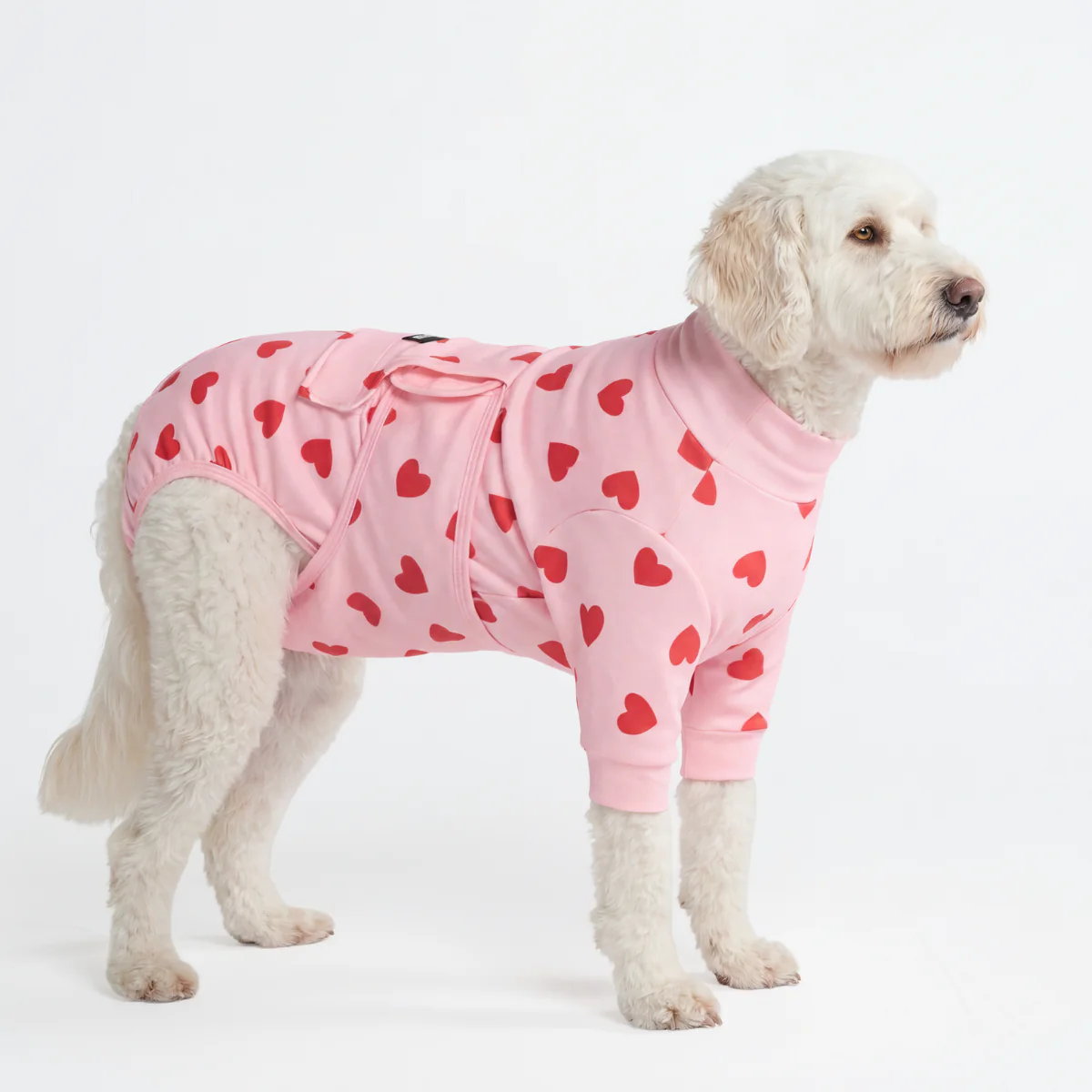 Dog Surgical Suit - Pink Hearts - Image 3