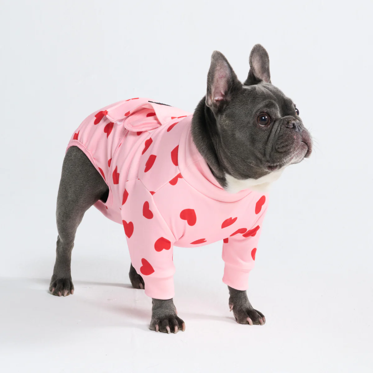 Dog Surgical Suit - Pink Hearts - Image 11