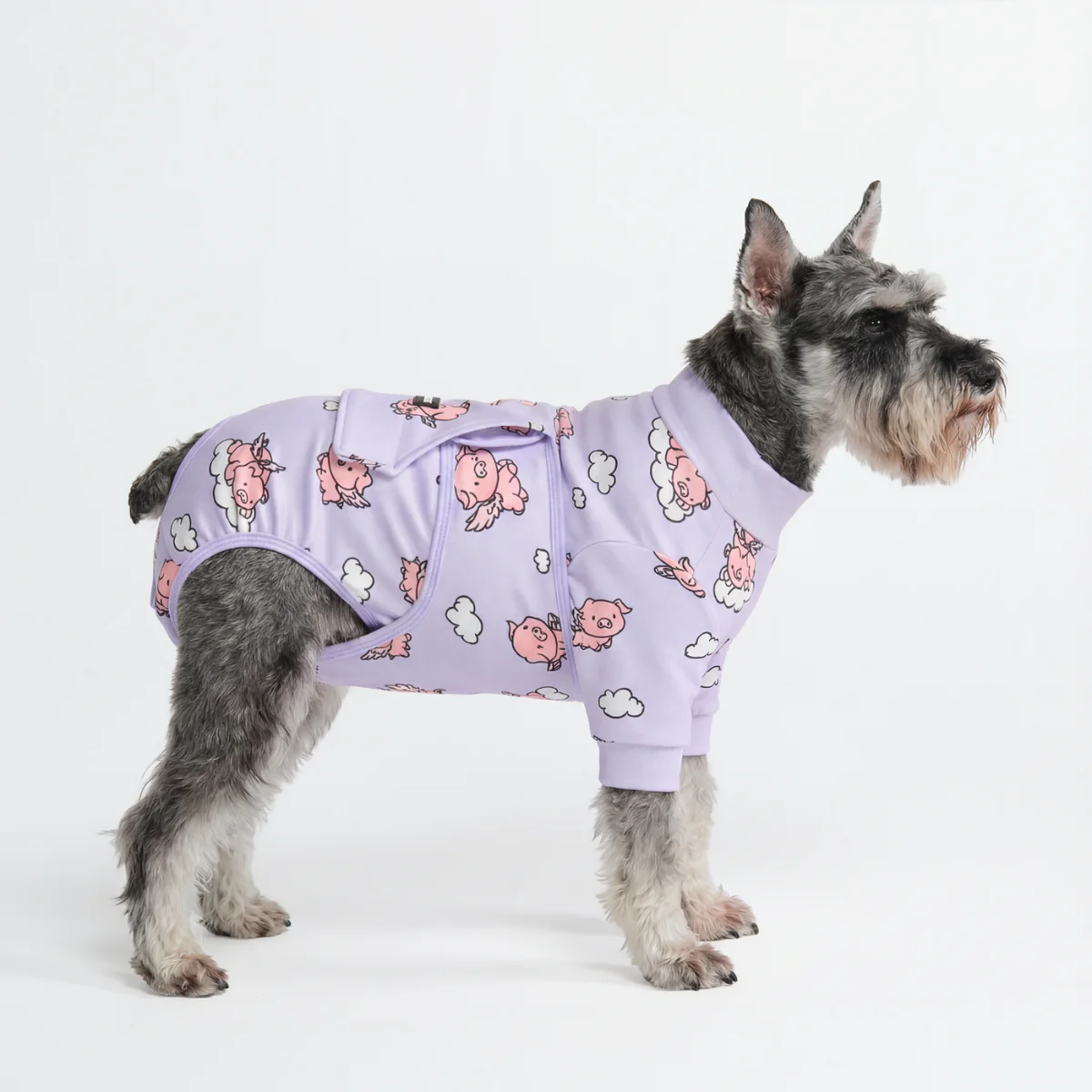 Dog Surgical Suit - When Pigs Fly - Image 4