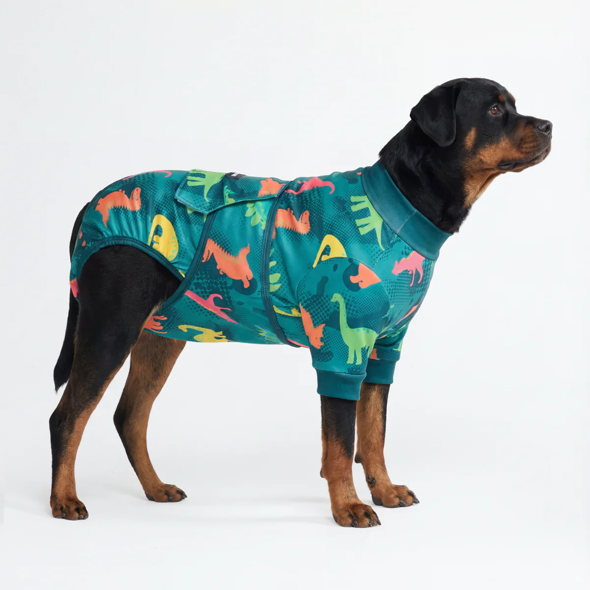 Dog Surgical Suit - Dinosaurs - Image 5