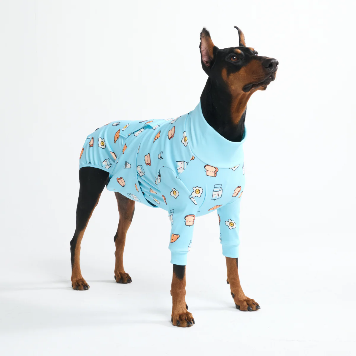 Dog Surgical Suit - Breakfast Blue - Image 11