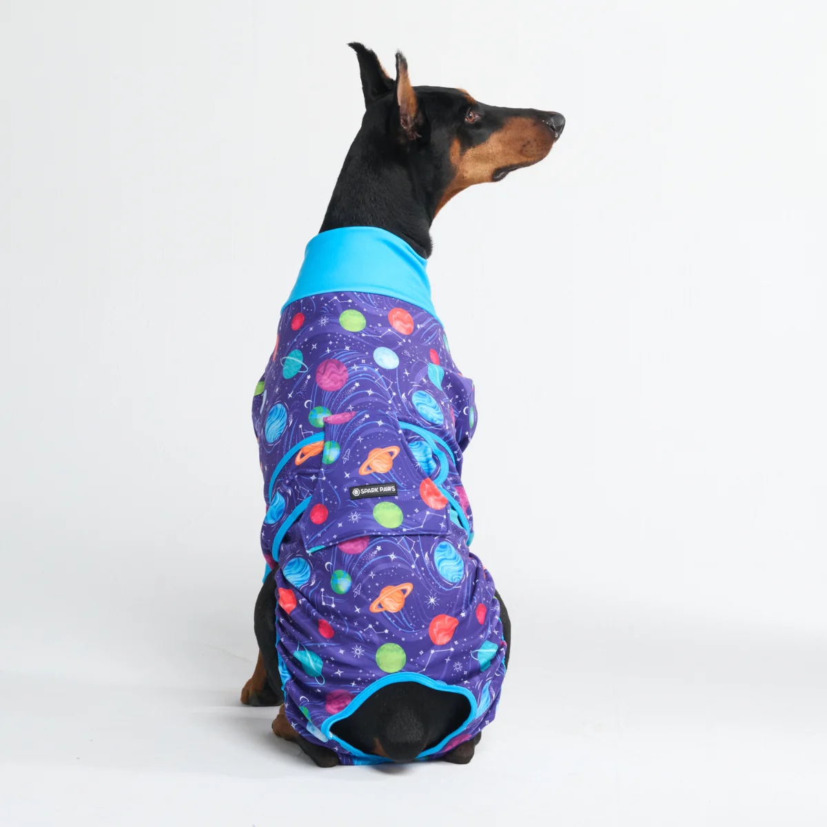 Dog Surgical Suit - Planets - Image 11
