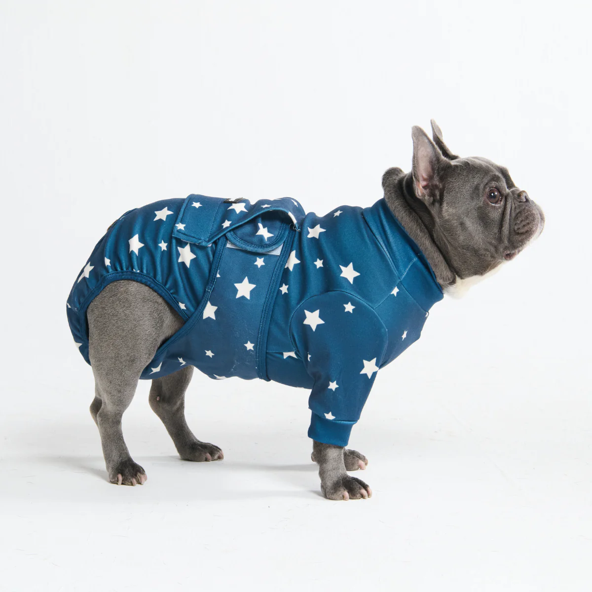 Dog Surgical Suit - Stars - Image 4