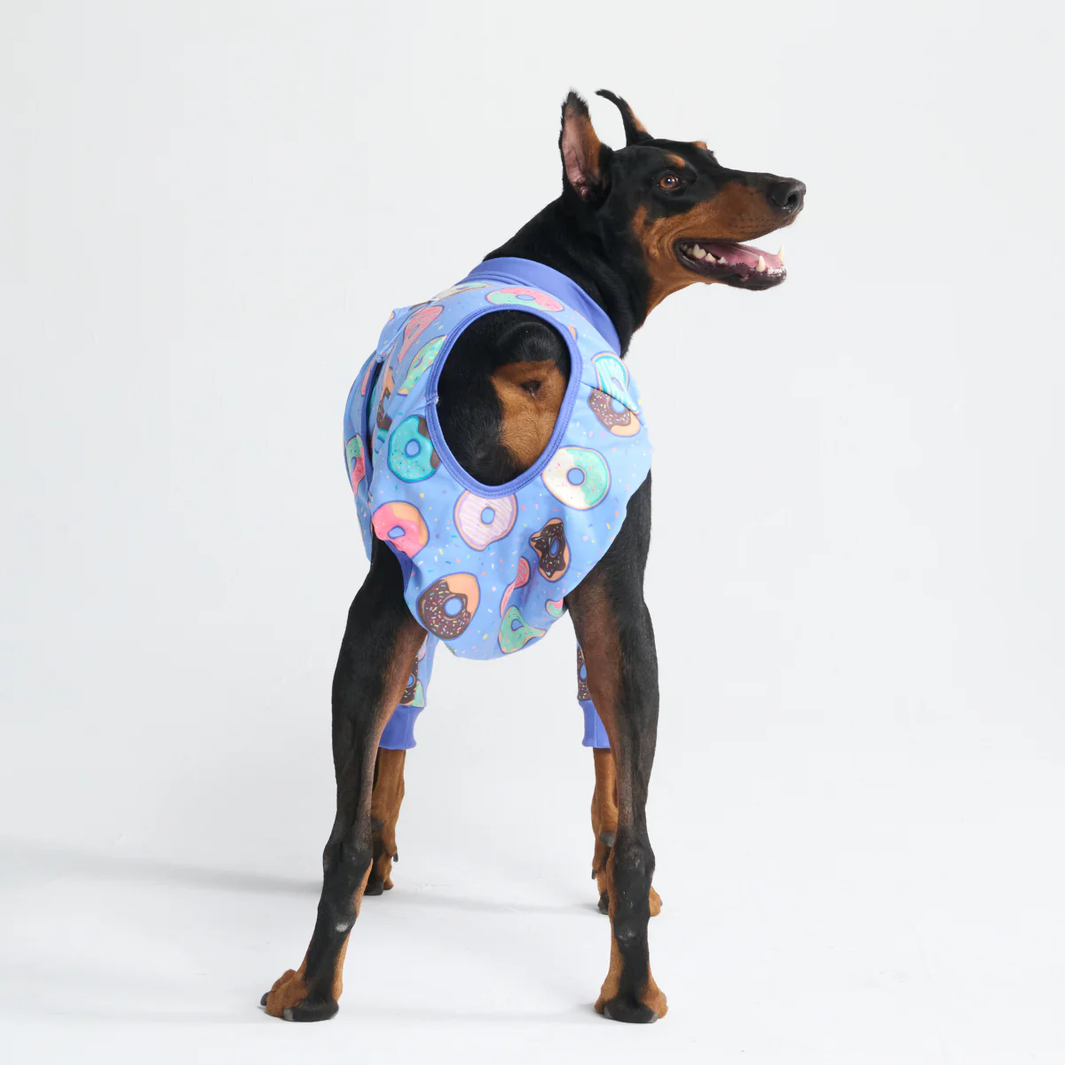 Dog Surgical Suit - Donuts - Image 11