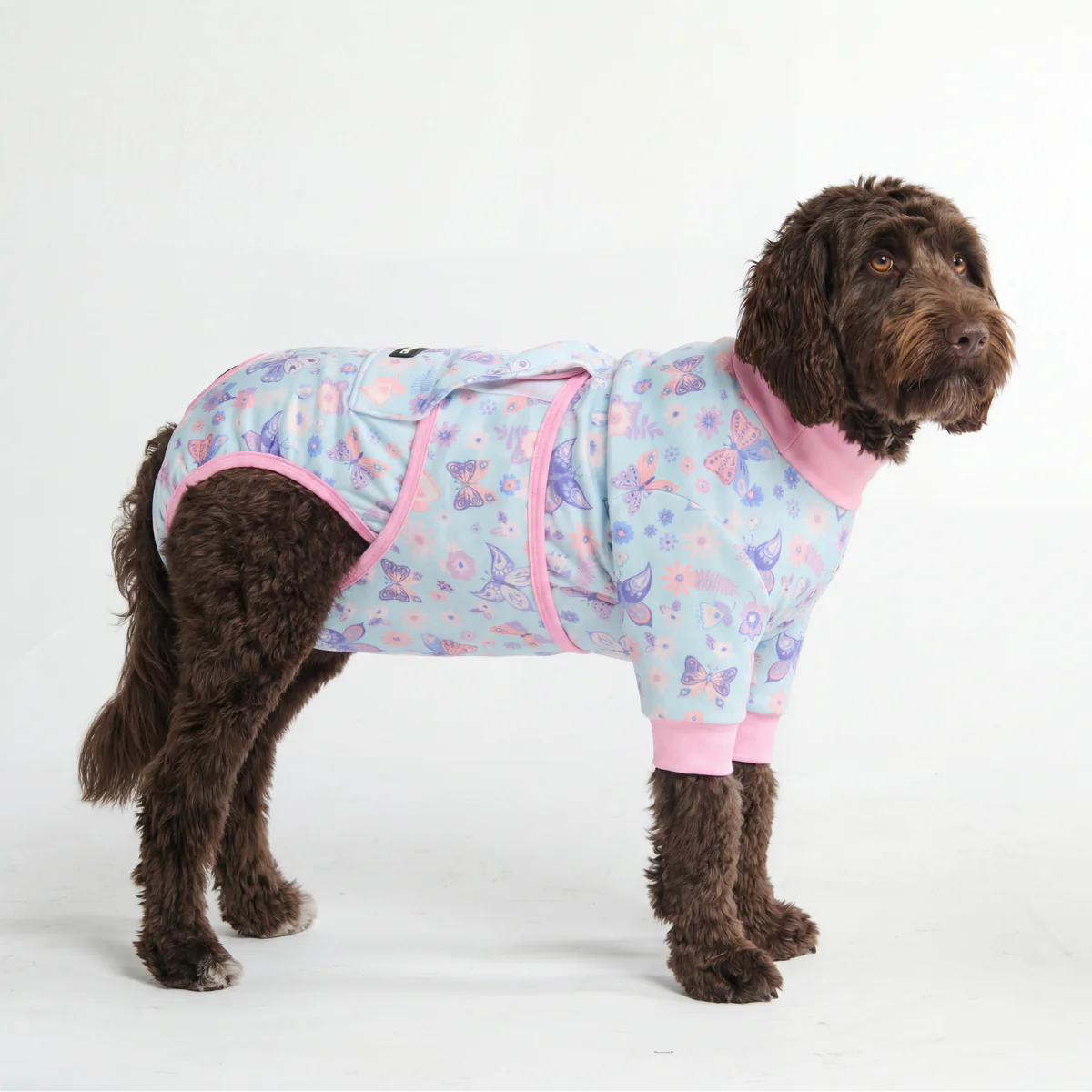Dog Surgical Suit - Butterfly - Image 3