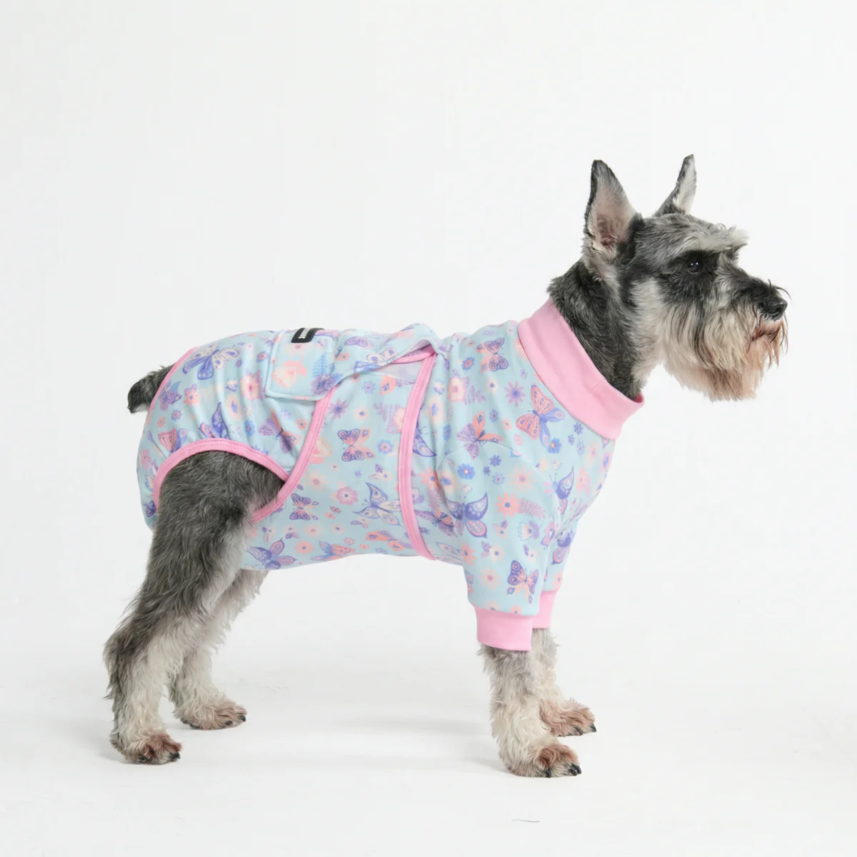Dog Surgical Suit - Butterfly - Image 4