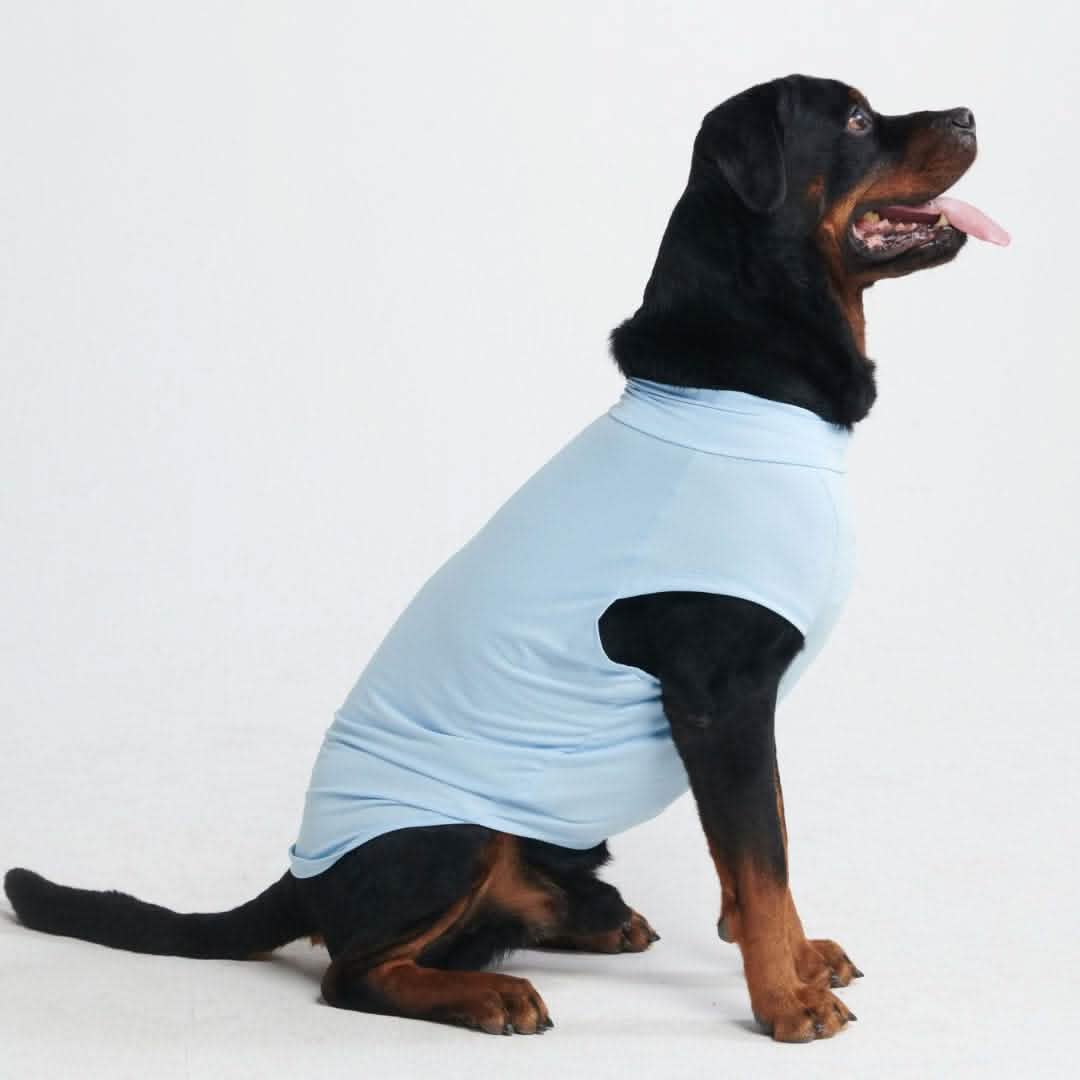 Sunblock Dog T-Shirt - Blue - Image 5
