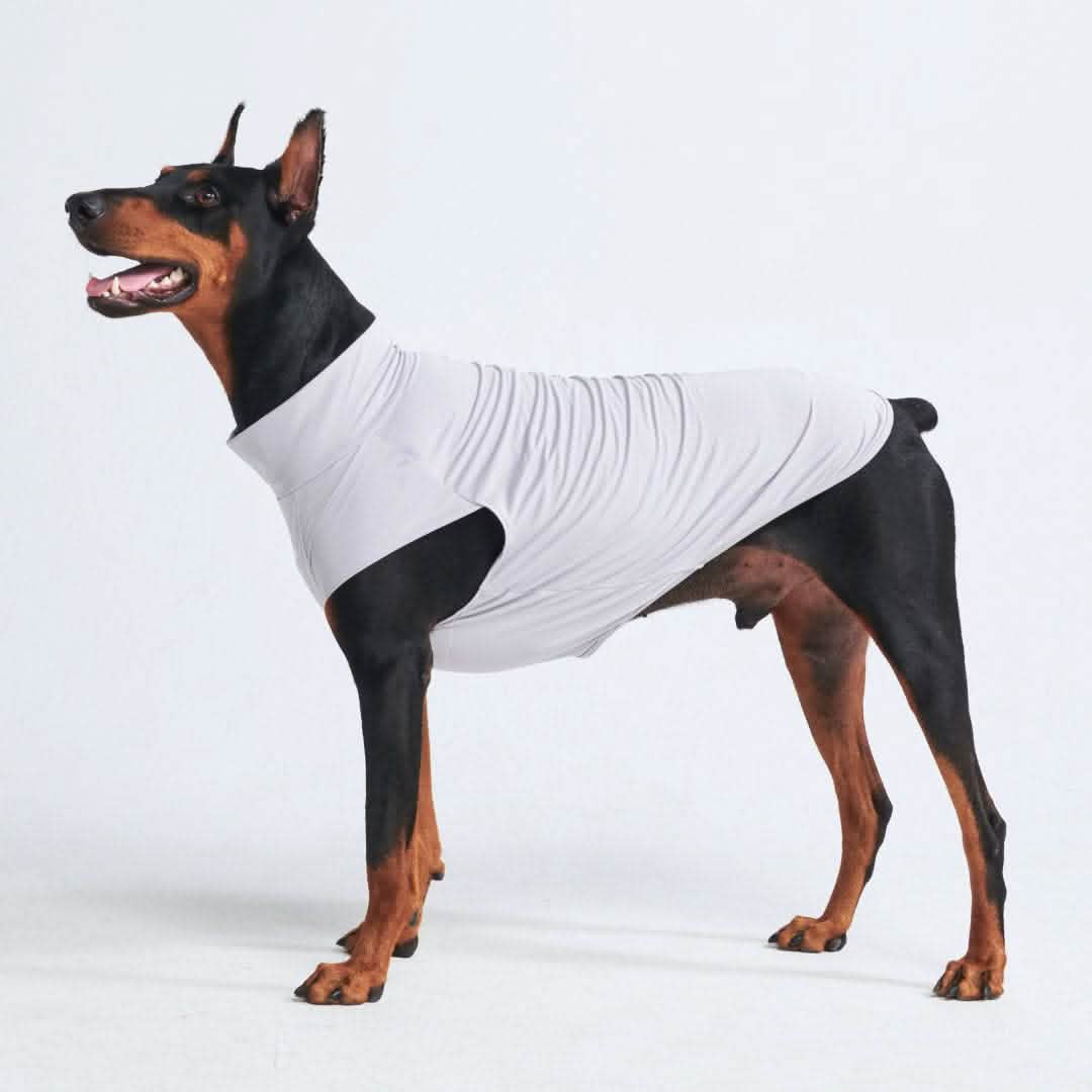 Sunblock Dog T-Shirt - Grey - Image 3