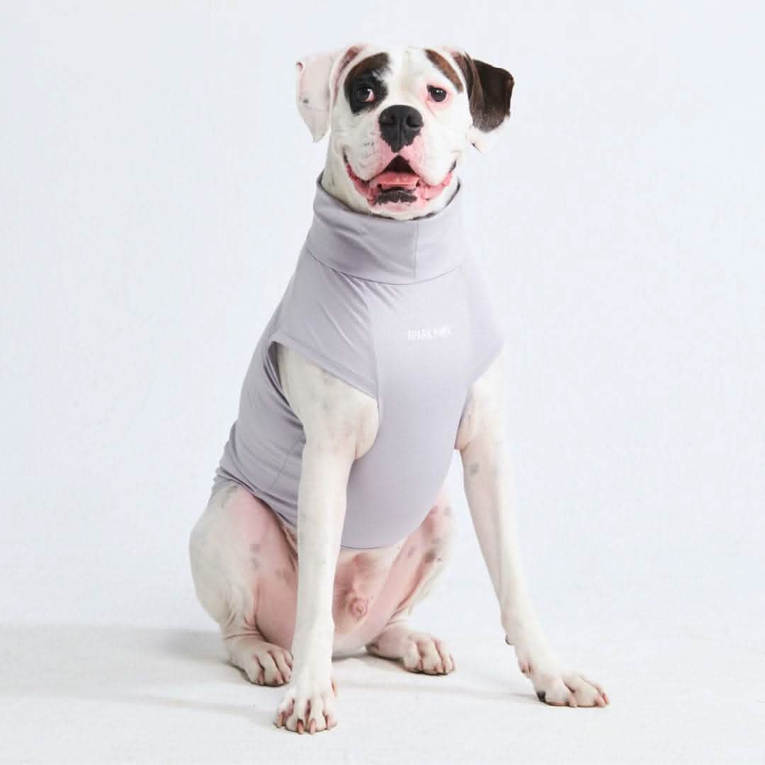 Sunblock Dog T-Shirt - Grey - Image 5