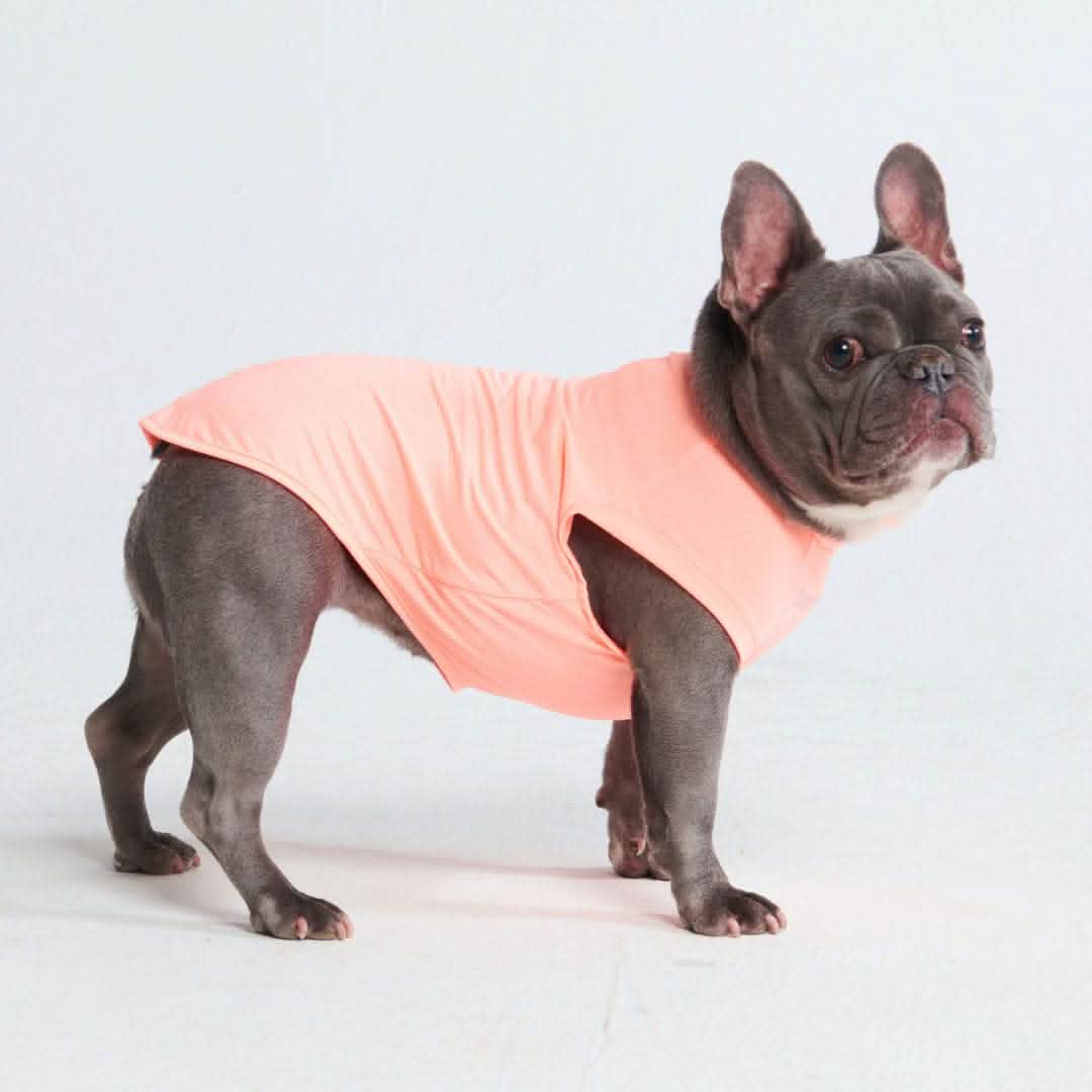 Sunblock Dog T-Shirt - Peach - Image 4