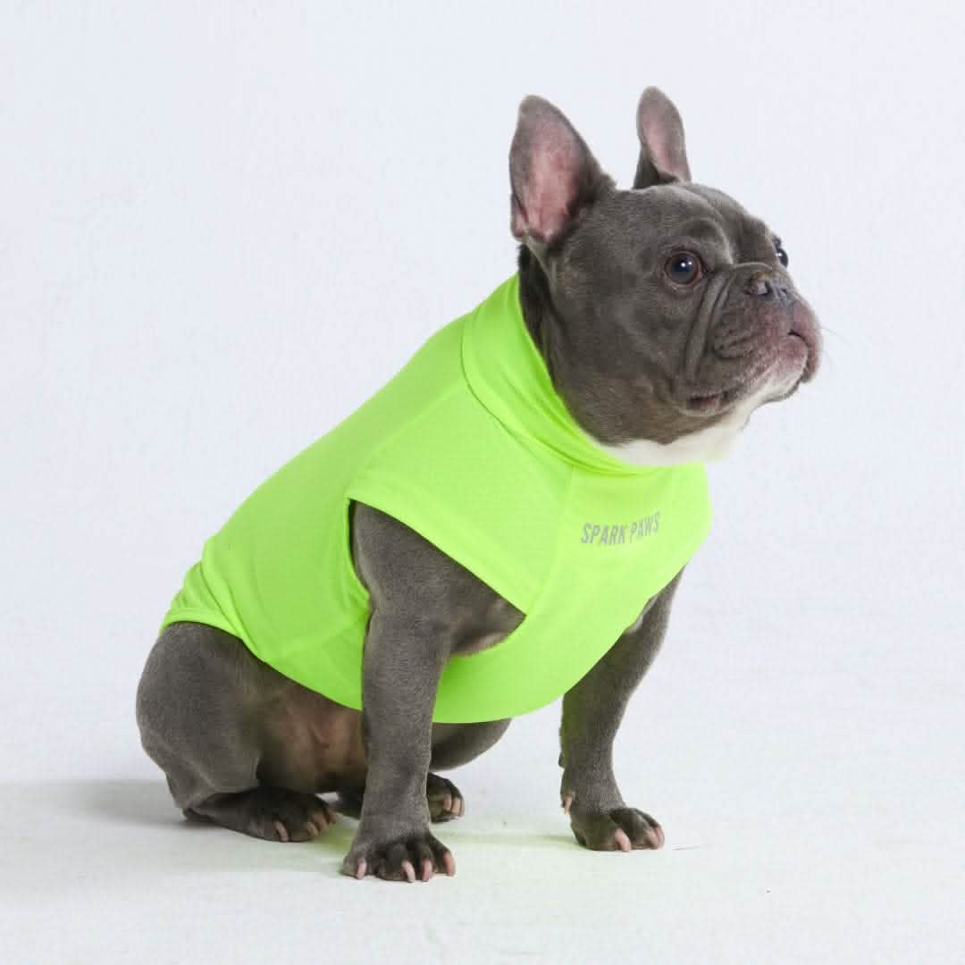Sunblock Dog T-Shirt - Neon - Image 4