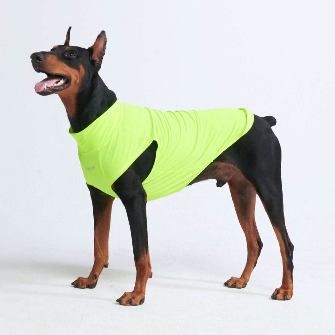 Sunblock Dog T-Shirt - Neon - Image 5