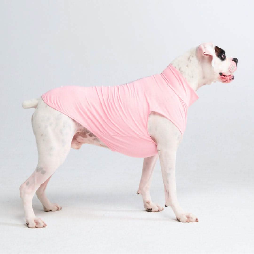 Sunblock Dog T-Shirt - Pink - Image 5