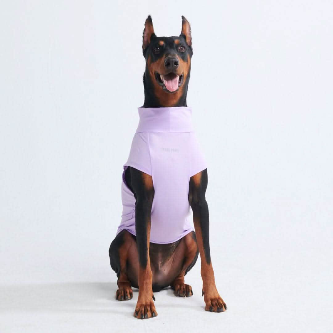 Sunblock Dog T-Shirt - Purple - Image 3