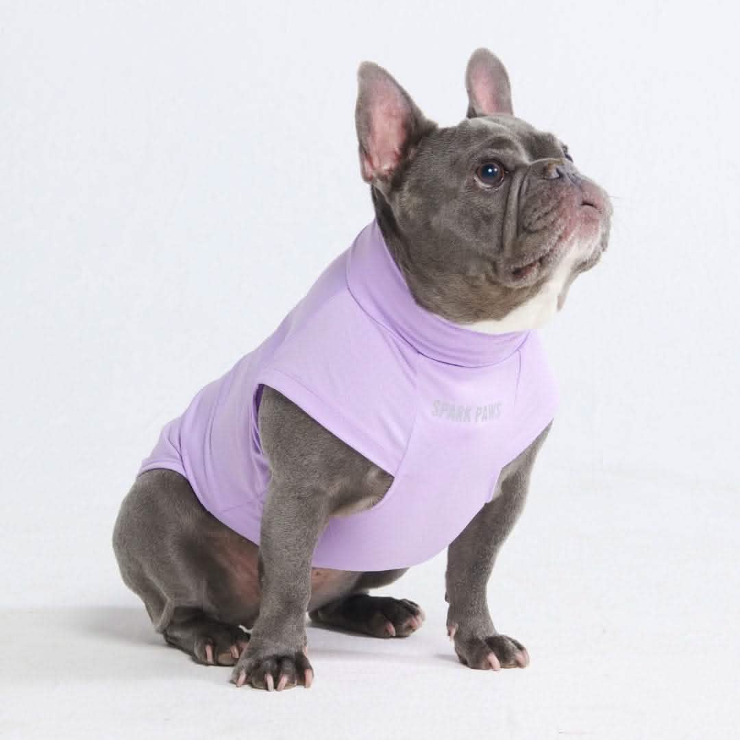 Sunblock Dog T-Shirt - Purple - Image 6