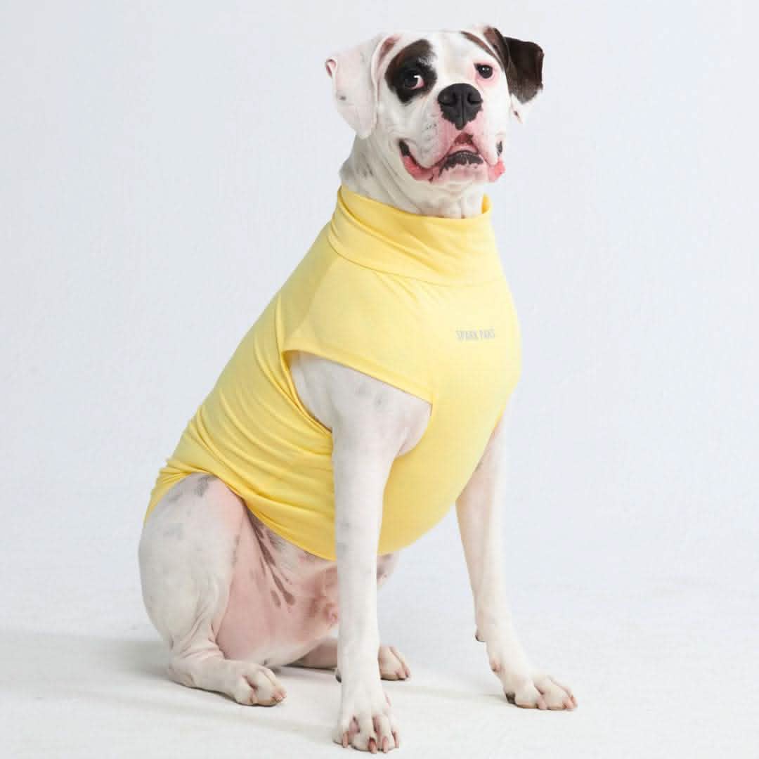 Sunblock Dog T-Shirt - Yellow - Image 3