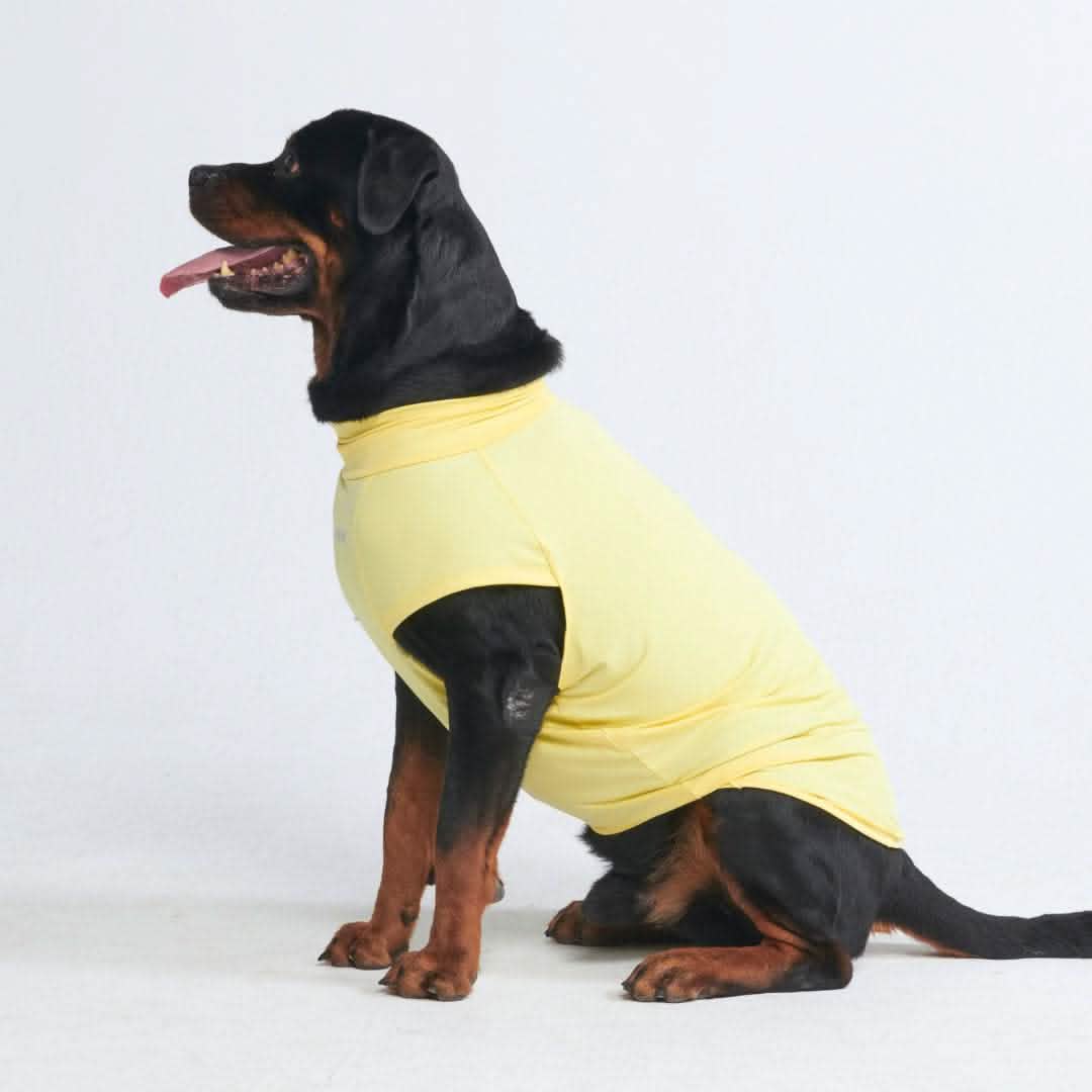 Sunblock Dog T-Shirt - Yellow - Image 6