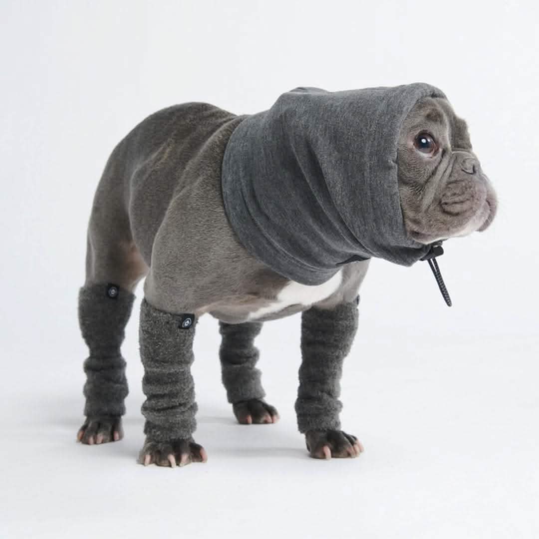 Anxiety Calming Dog Earmuff Protector - Grey - Image 3