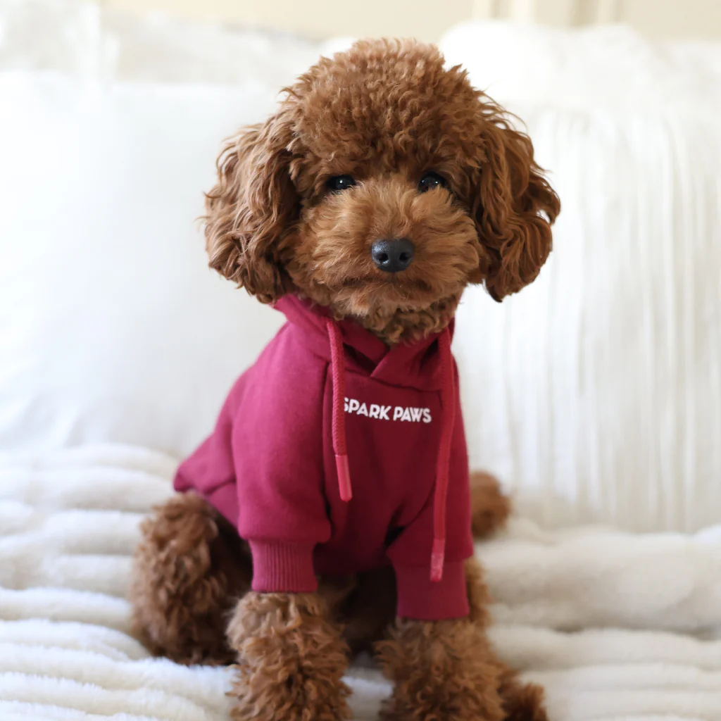 Essential Dog Hoodie - Burgundy - Image 12
