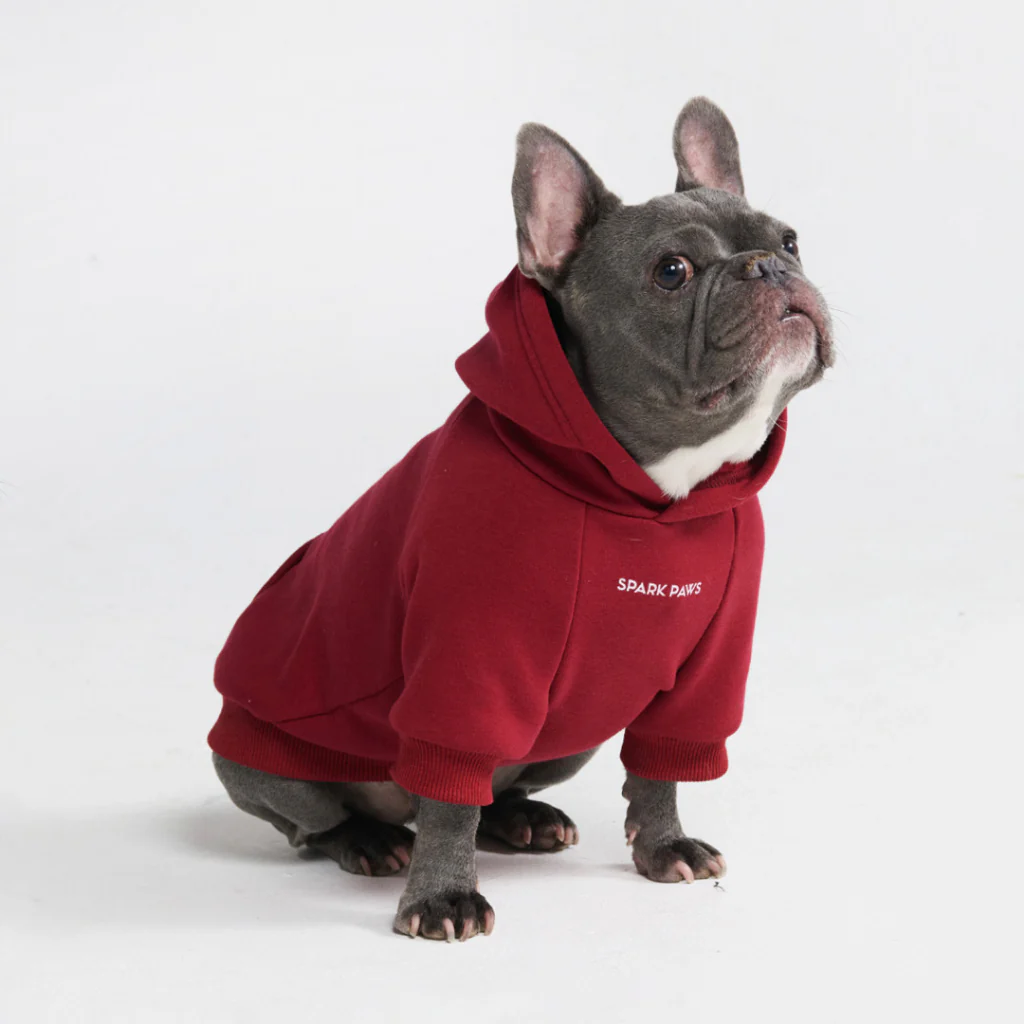 Essential Dog Hoodie - Burgundy - Image 5