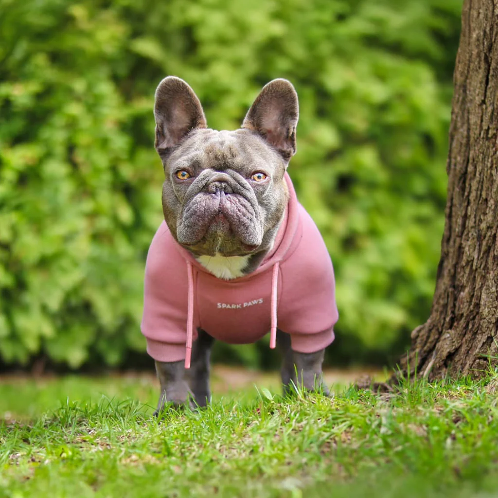 Essential Dog Hoodies - Image 47