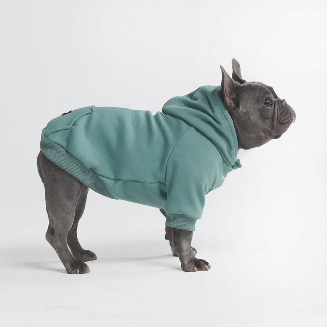 Essential Dog Hoodies - Image 5