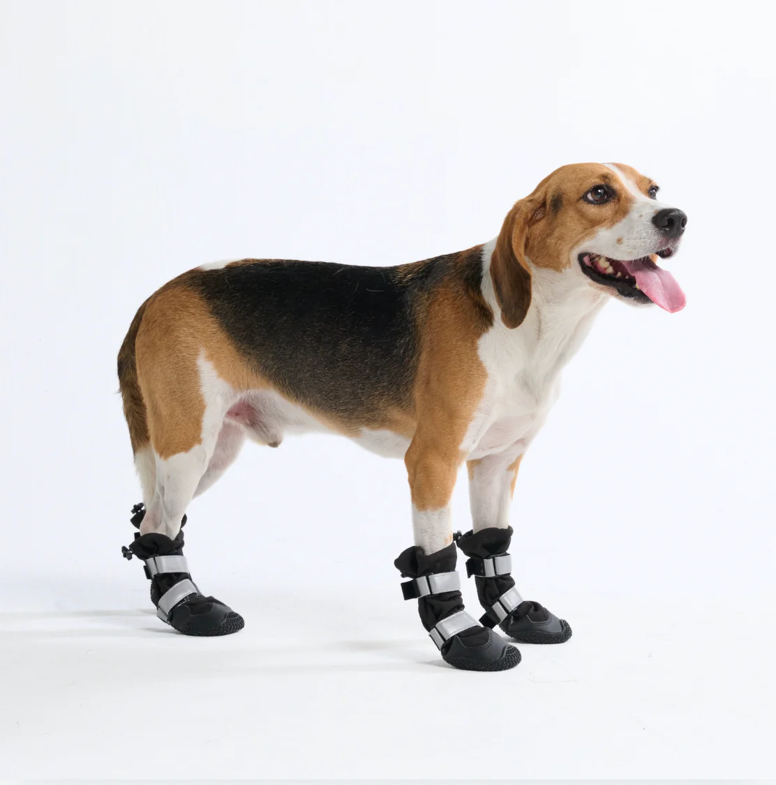 Flex Shell Waterproof Dog Boots - Black (2) - Image 5
