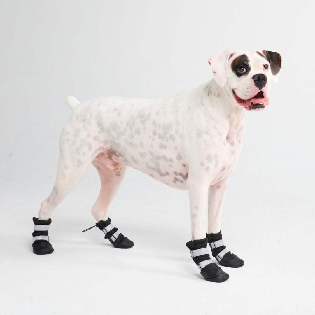 Flex Shell Waterproof Dog Boots - Black (2) - Image 8