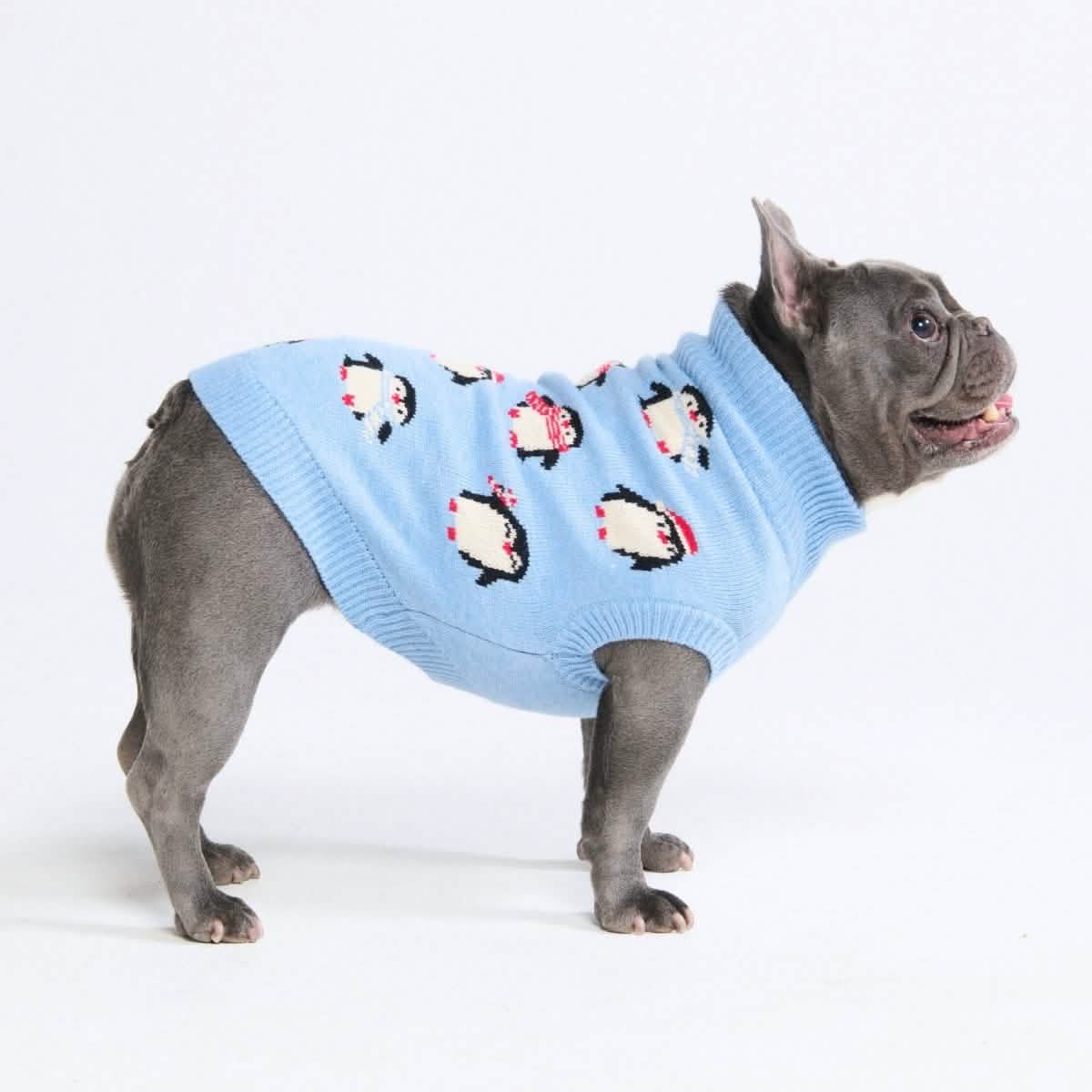 Knit Dog Sweater Prints - Image 23