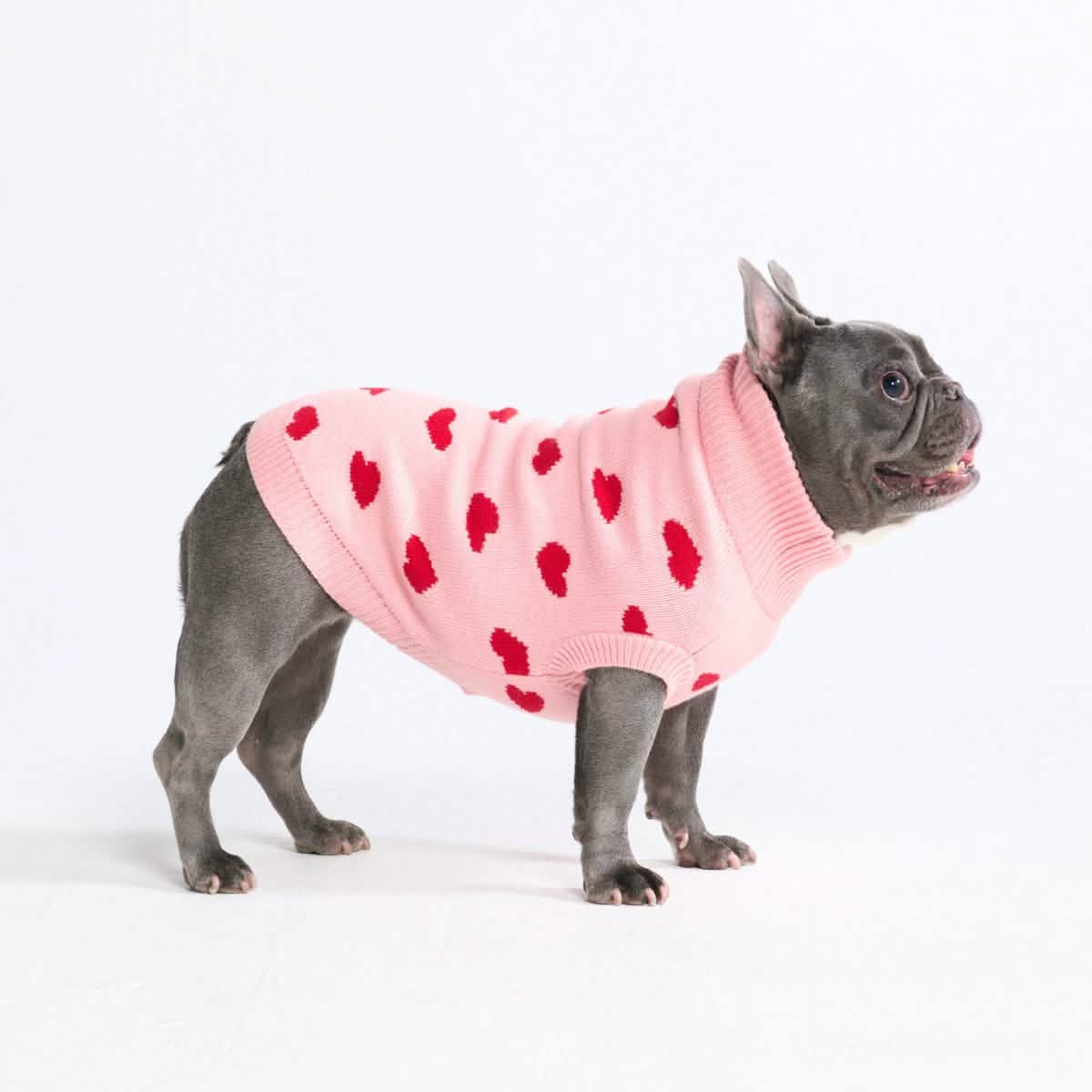 Knit Dog Sweater Prints - Image 28