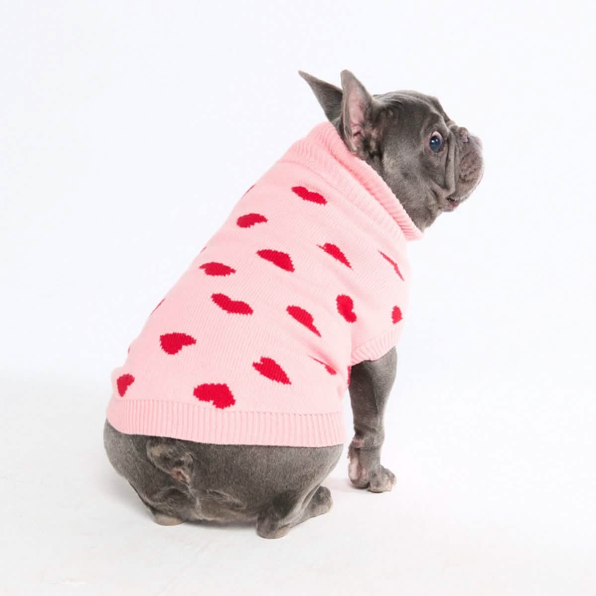 Knit Dog Sweater Prints - Image 29