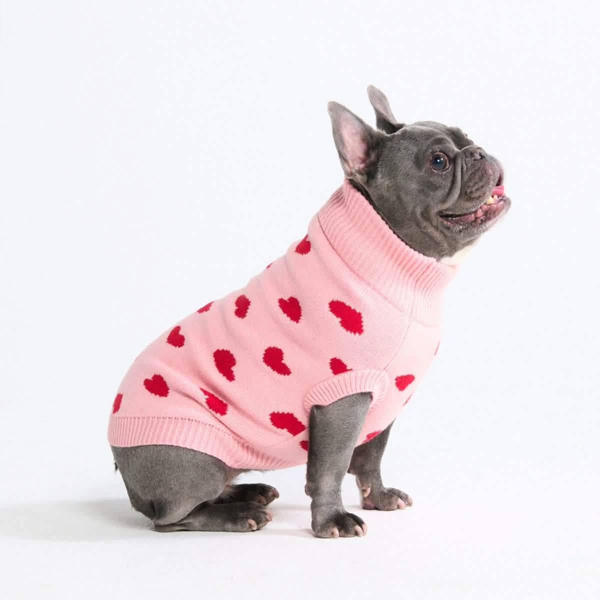 Knit Dog Sweater Prints - Image 31