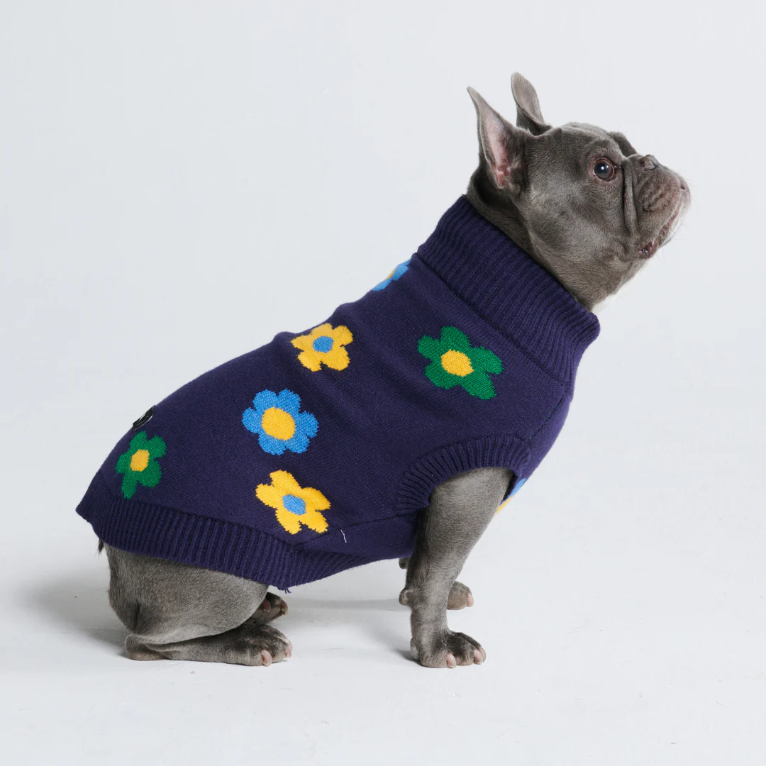 Flower Knit Dog Sweater - Blue Green Yellow - Image 4
