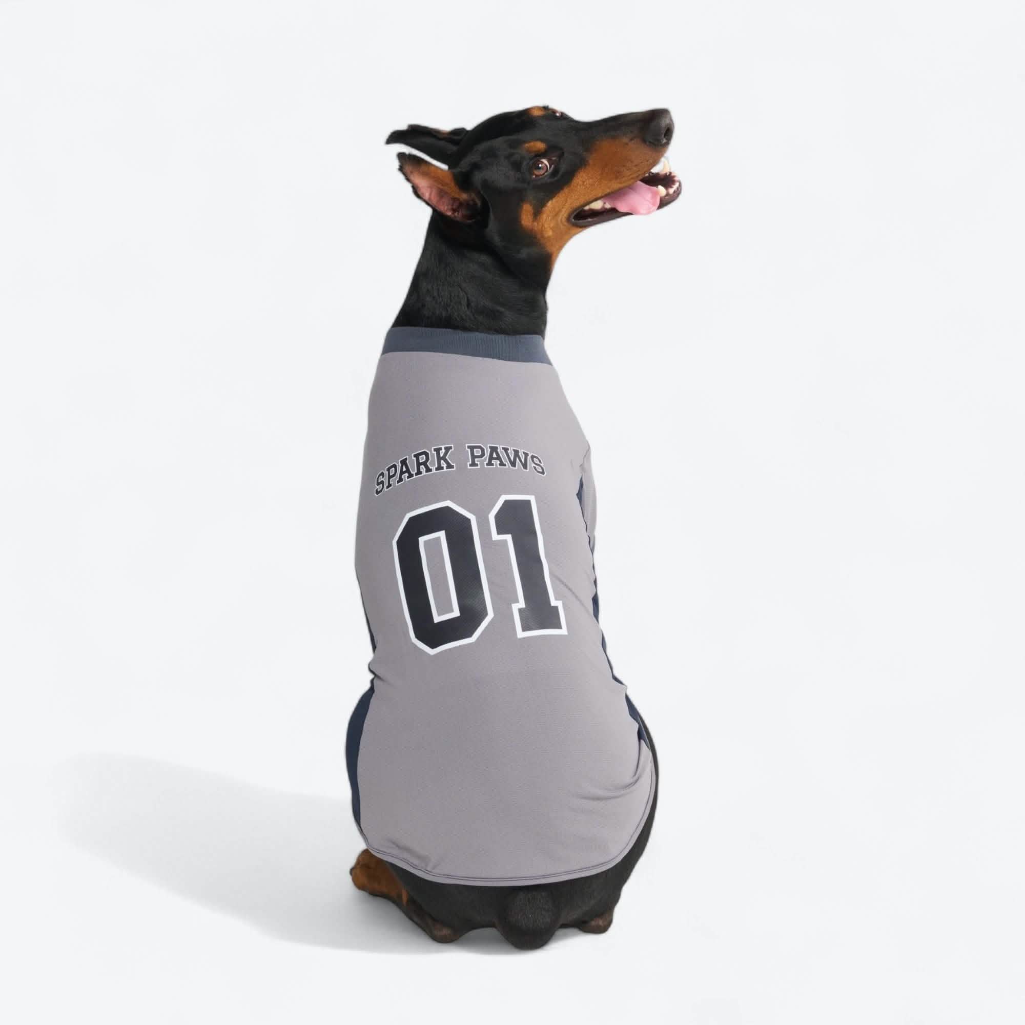 Football Mesh Jersey - Grey - Image 3