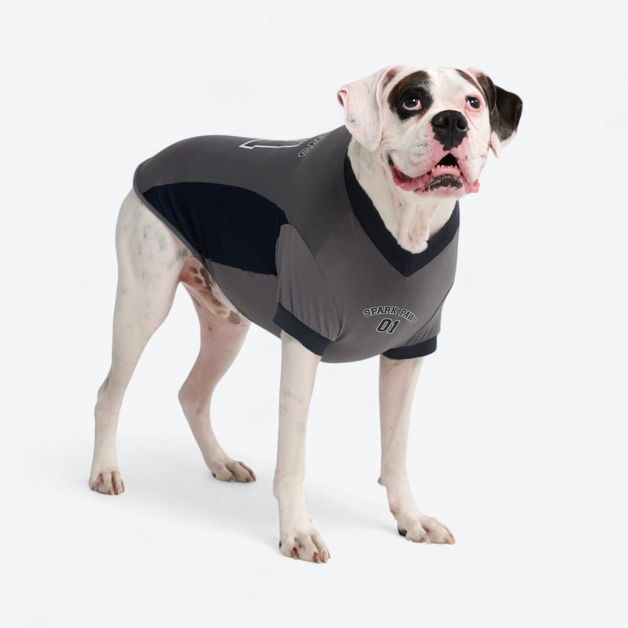 Football Mesh Jersey - Grey - Image 5