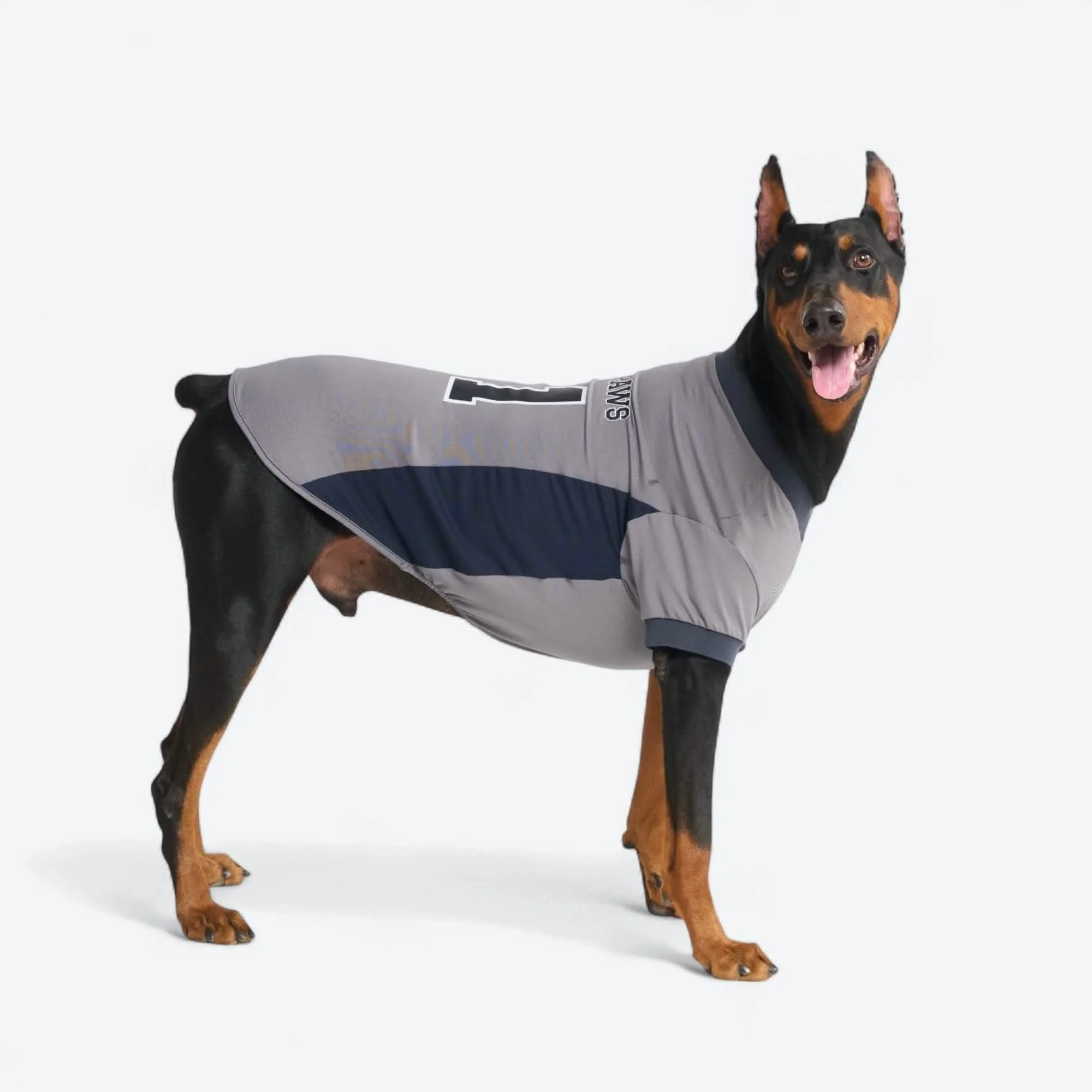 Football Mesh Jersey - Grey - Image 6
