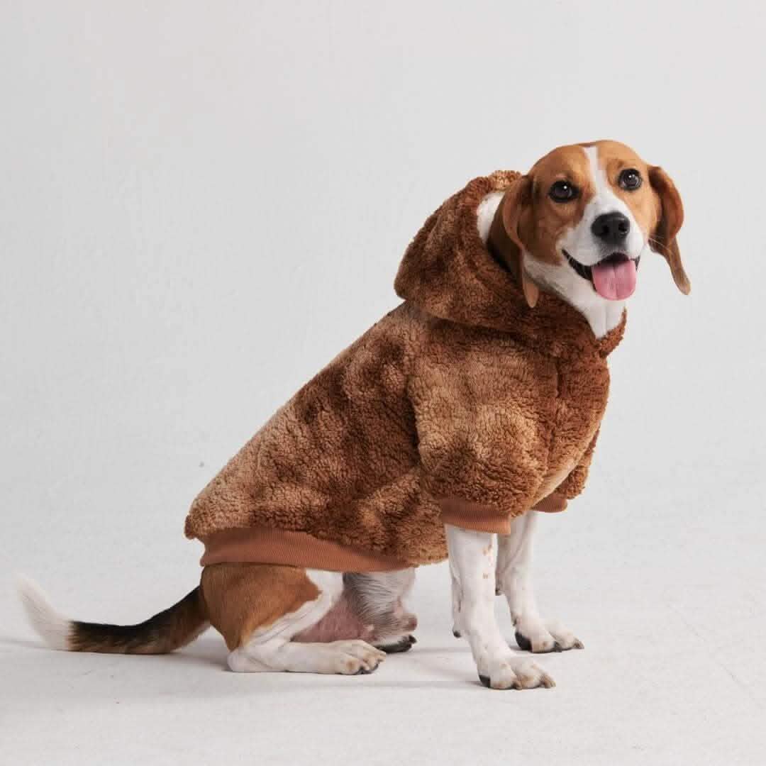 Fluffdreams Blanket Dog Hoodies - Image 20