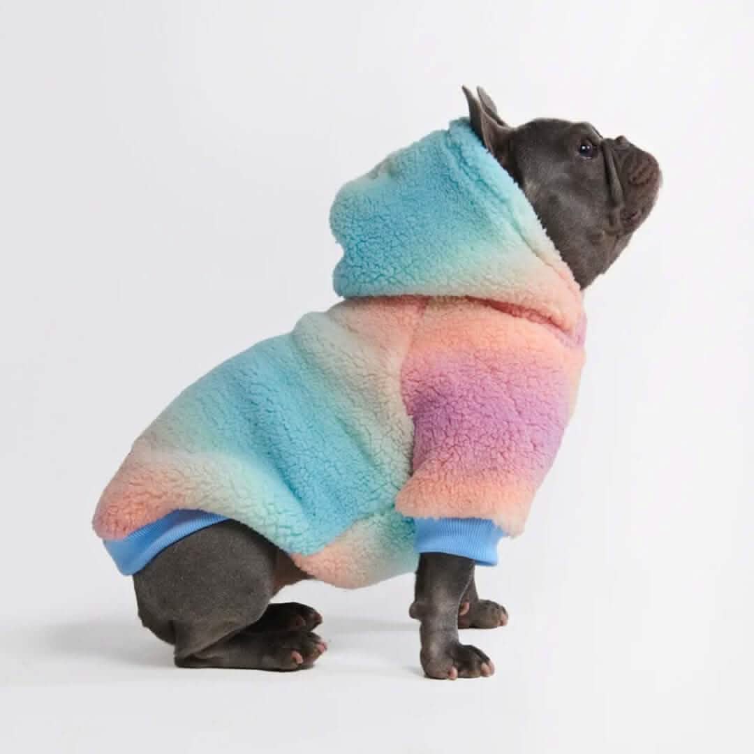 Fluffdreams Blanket Dog Hoodies - Image 6
