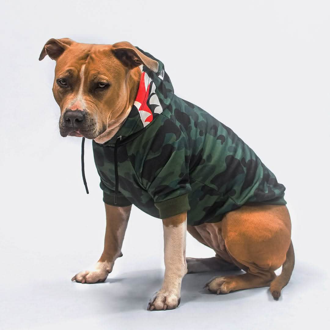 Shark Monster Dog Hoodie - Green Camo - Image 4