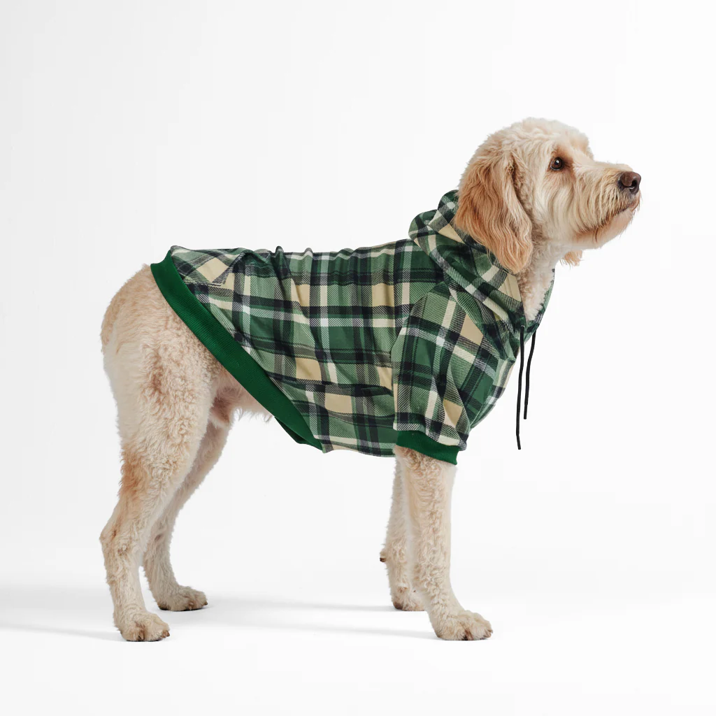 Green Plaid Dog Hoodie - Image 4