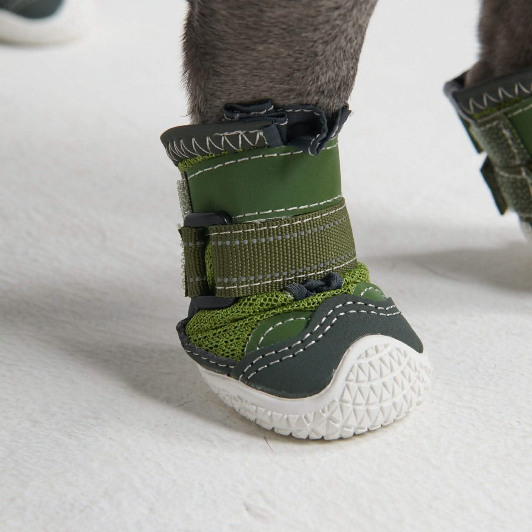 Hot Pavement Pawtector Dog Shoes - Green - Image 4