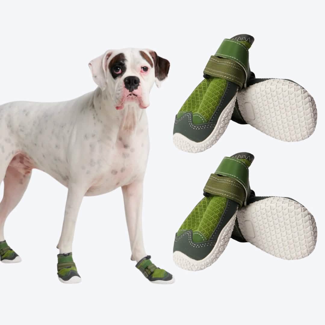 Hot Pavement Pawtector Dog Shoes - Image 14