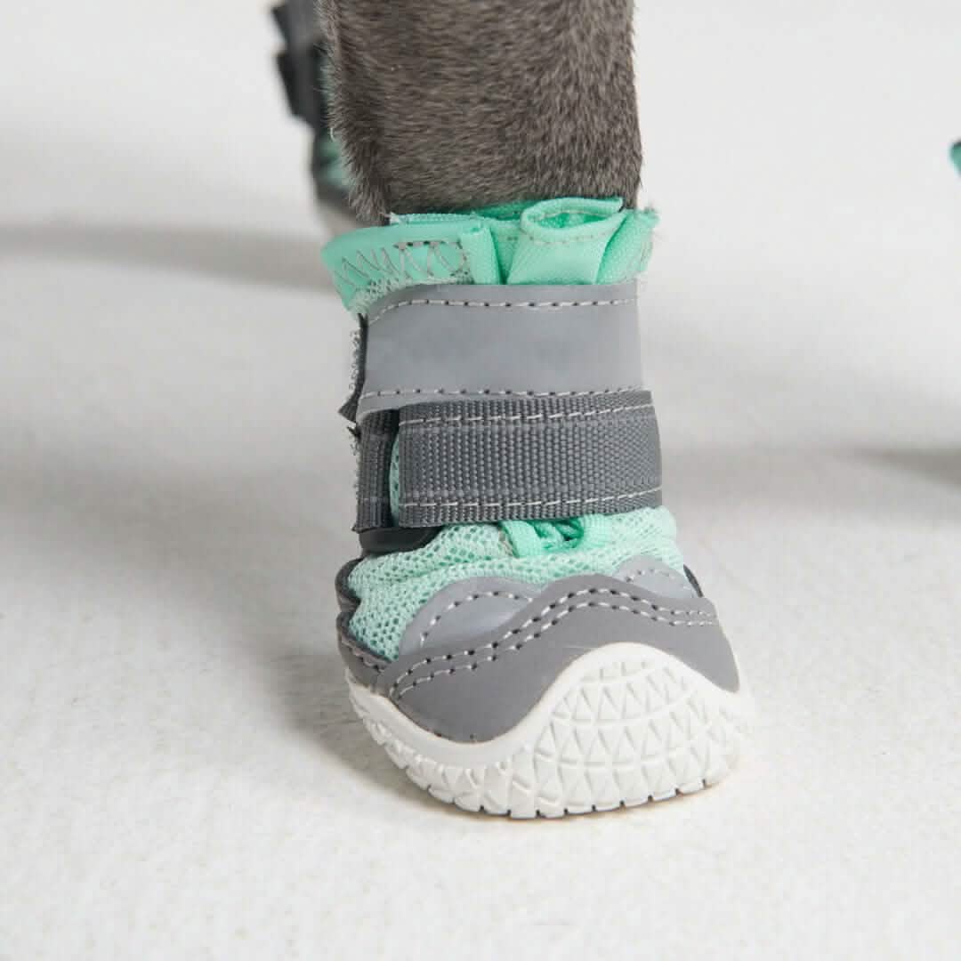 Hot Pavement Pawtector Dog Shoes - Image 17