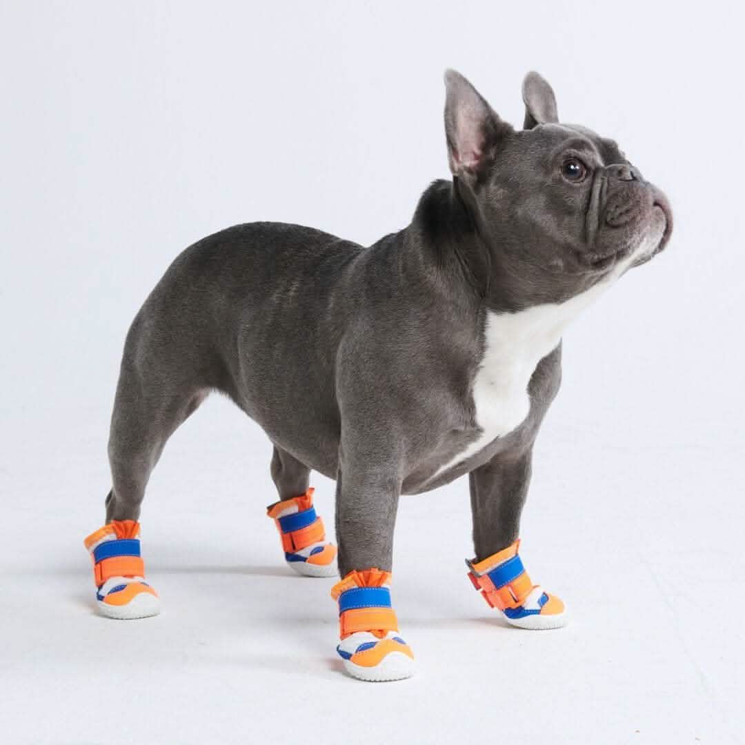 Hot Pavement Pawtector Dog Shoes - Image 22